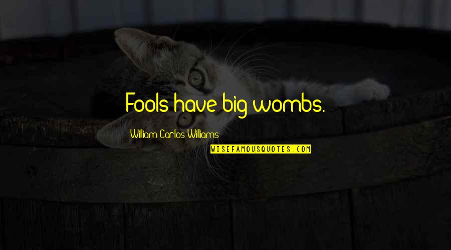 Matematika Klokan Quotes By William Carlos Williams: Fools have big wombs.