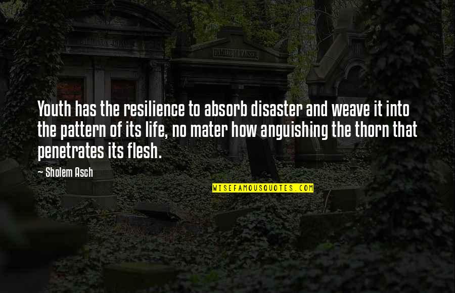 Mater Quotes By Sholem Asch: Youth has the resilience to absorb disaster and