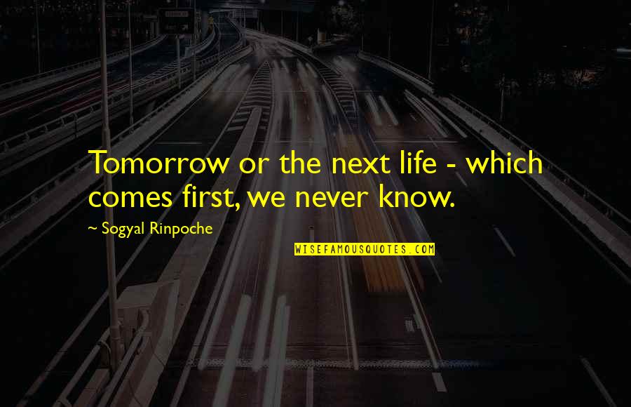 Mater Tow Truck Quotes By Sogyal Rinpoche: Tomorrow or the next life - which comes