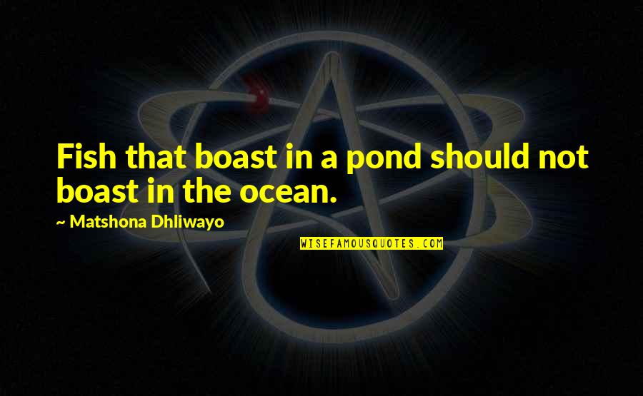 Materalism Quotes By Matshona Dhliwayo: Fish that boast in a pond should not Materalism Quotes By Matshona Dhliwayo: Fish that boast in a pond should not