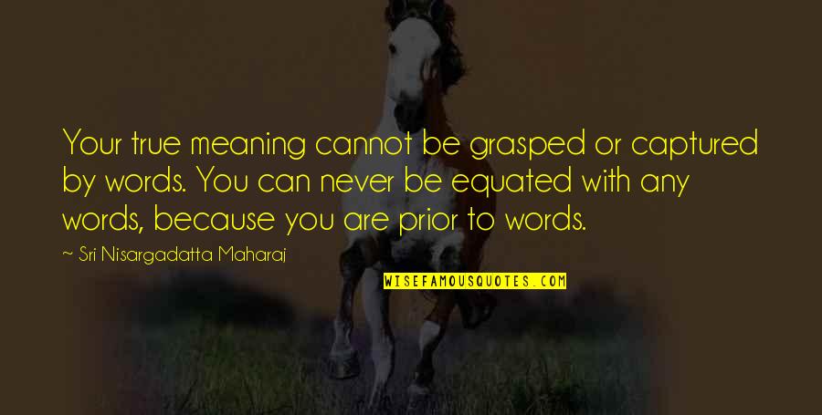 Material Ui Quotes By Sri Nisargadatta Maharaj: Your true meaning cannot be grasped or captured