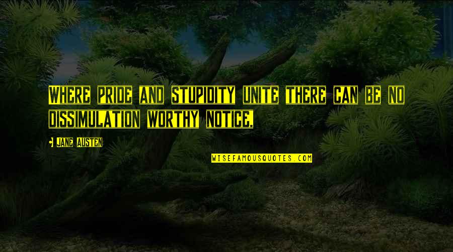 Materialista Definicion Quotes By Jane Austen: Where pride and stupidity unite there can be