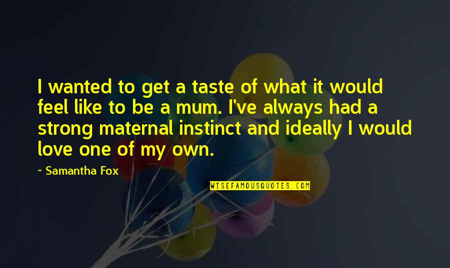 Maternal Instinct Quotes By Samantha Fox: I wanted to get a taste of what