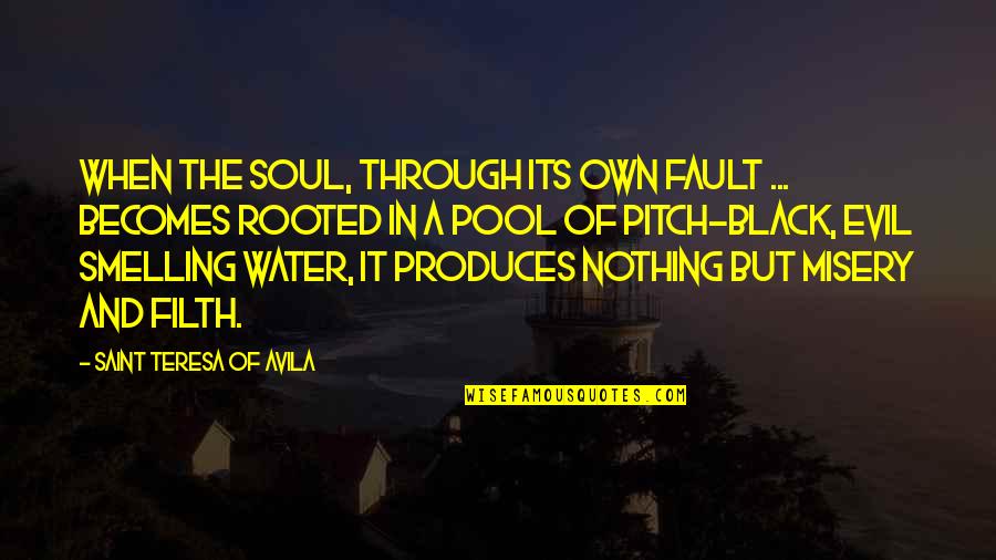 Mateus Solano Quotes By Saint Teresa Of Avila: When the soul, through its own fault ... Mateus Solano Quotes By Saint Teresa Of Avila: When the soul, through its own fault ...
