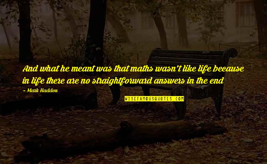 Math Life Quotes By Mark Haddon: And what he meant was that maths wasn't