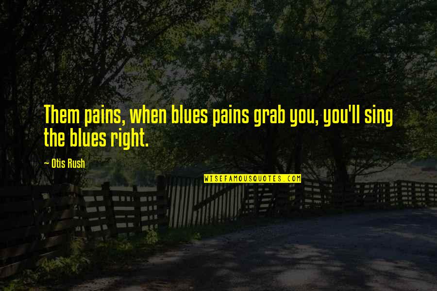 Math Sarcastic Quotes By Otis Rush: Them pains, when blues pains grab you, you'll