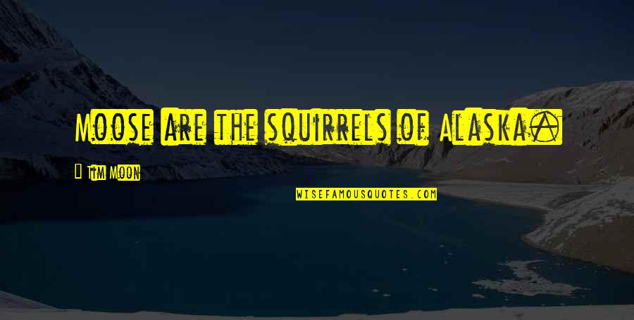 Mathea Falco Quotes By Tim Moon: Moose are the squirrels of Alaska. Mathea Falco Quotes By Tim Moon: Moose are the squirrels of Alaska.