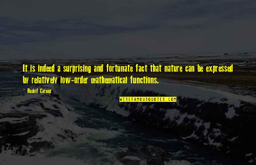 Mathematical Functions Quotes By Rudolf Carnap: It is indeed a surprising and fortunate fact