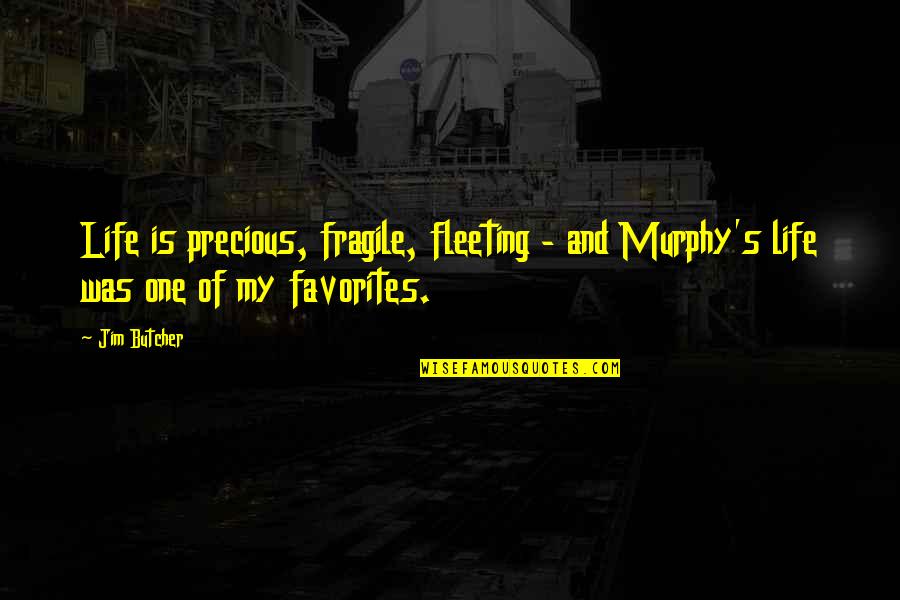 Mathivanan Rajendran Quotes By Jim Butcher: Life is precious, fragile, fleeting - and Murphy's