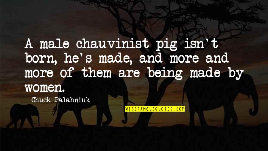 Maties Quotes By Chuck Palahniuk: A male chauvinist pig isn't born, he's made, Maties Quotes By Chuck Palahniuk: A male chauvinist pig isn't born, he's made,
