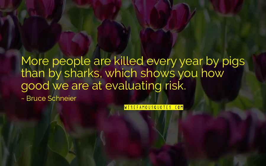 Matilde Conjo Quotes By Bruce Schneier: More people are killed every year by pigs