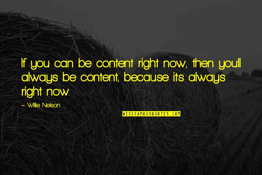 Matinha De La Quotes By Willie Nelson: If you can be content right now, then Matinha De La Quotes By Willie Nelson: If you can be content right now, then
