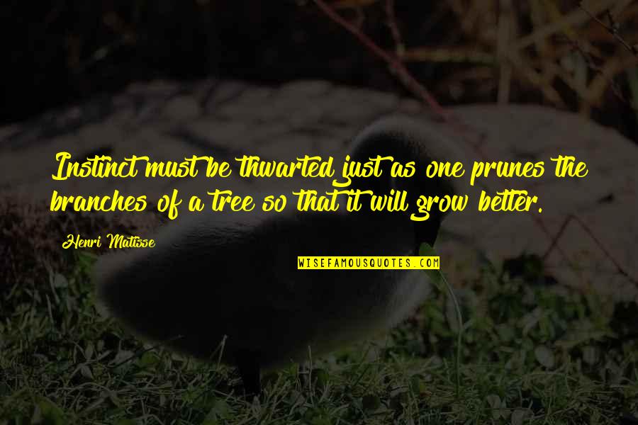 Matisse Quotes By Henri Matisse: Instinct must be thwarted just as one prunes Matisse Quotes By Henri Matisse: Instinct must be thwarted just as one prunes