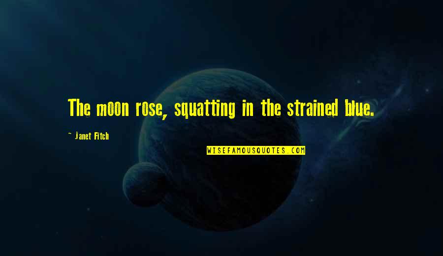 Matratzenschoner Quotes By Janet Fitch: The moon rose, squatting in the strained blue.
