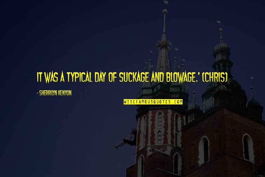 Matrim Cauthon Quotes By Sherrilyn Kenyon: It was a typical day of suckage and