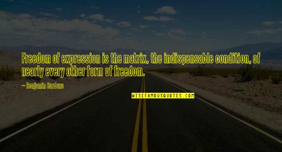 Matrix Quotes By Benjamin Cardozo: Freedom of expression is the matrix, the indispensable