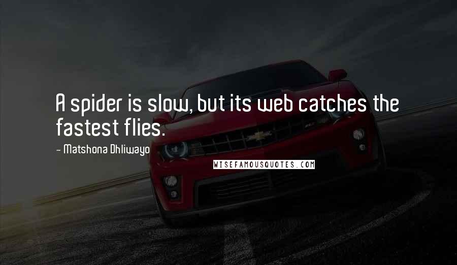 Matshona Dhliwayo quotes: A spider is slow, but its web catches the fastest flies.
