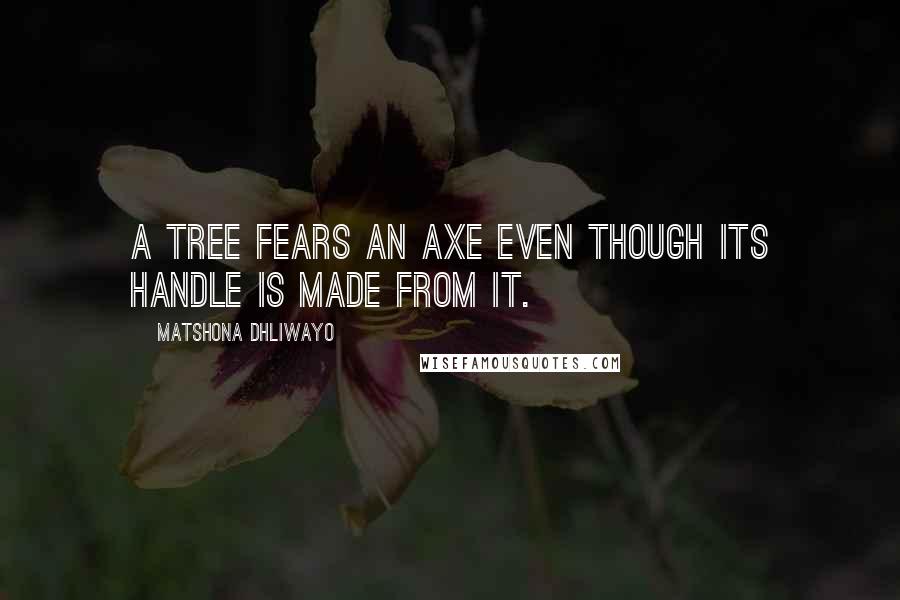 Matshona Dhliwayo quotes: A tree fears an axe even though its handle is made from it.