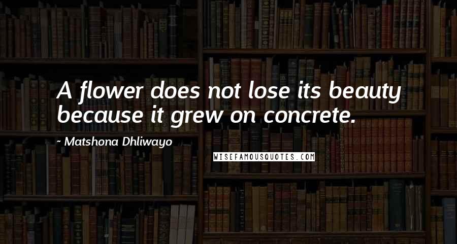 Matshona Dhliwayo quotes: A flower does not lose its beauty because it grew on concrete.
