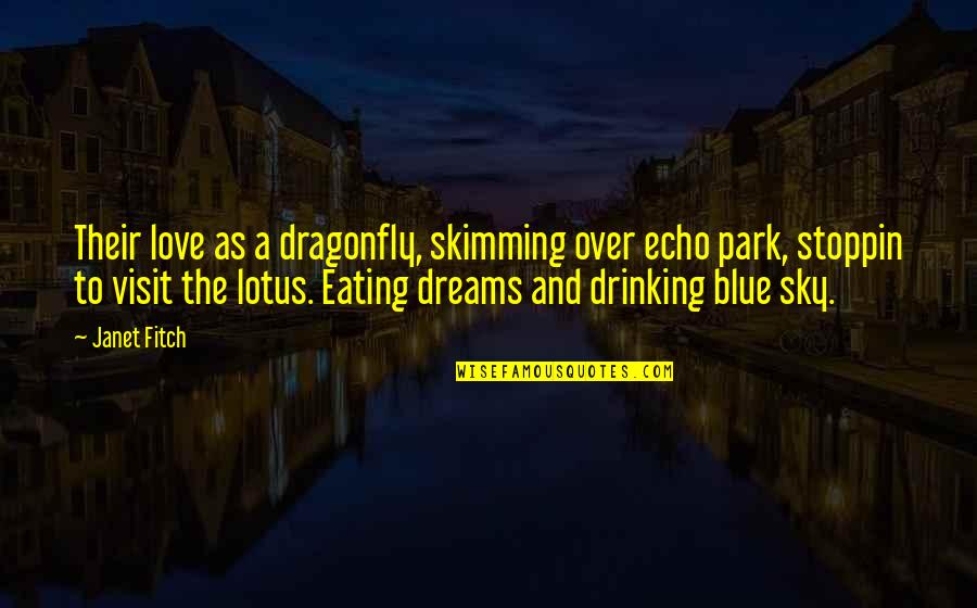 Matsuda Death Quotes By Janet Fitch: Their love as a dragonfly, skimming over echo
