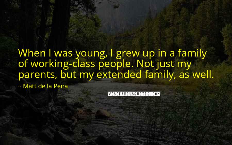 Matt De La Pena quotes: When I was young, I grew up in a family of working-class people. Not just my parents, but my extended family, as well. Matt De La Pena quotes: When I was young, I grew up in a family of working-class people. Not just my parents, but my extended family, as well.