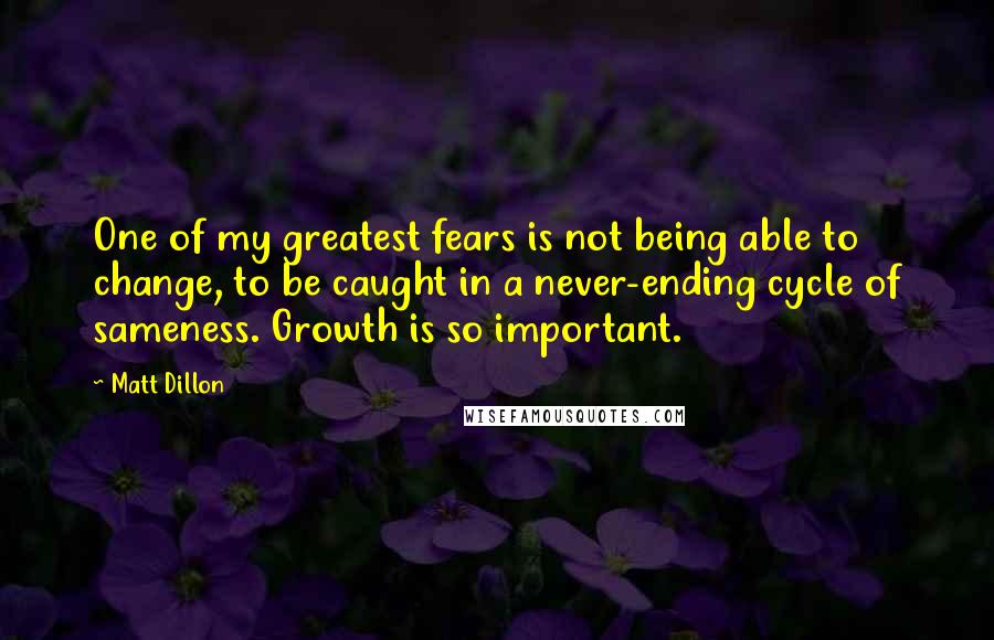 Matt Dillon quotes: One of my greatest fears is not being able to change, to be caught in a never-ending cycle of sameness. Growth is so important.