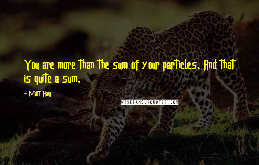 Matt Haig quotes: You are more than the sum of your particles. And that is quite a sum.