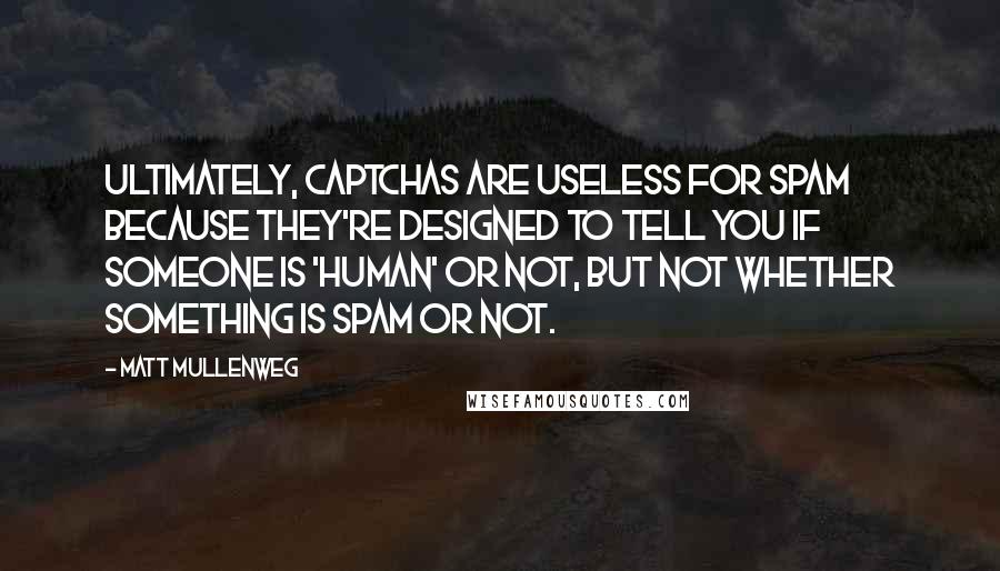 Matt Mullenweg quotes: Ultimately, Captchas are useless for spam because they're designed to tell you if someone is 'human' or not, but not whether something is spam or not.
