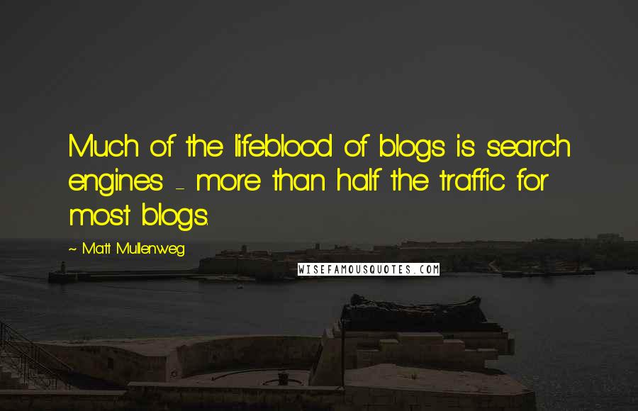 Matt Mullenweg quotes: Much of the lifeblood of blogs is search engines - more than half the traffic for most blogs.