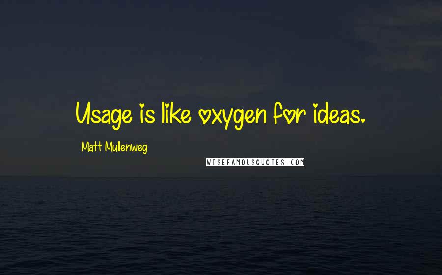 Matt Mullenweg quotes: Usage is like oxygen for ideas.