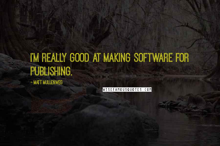 Matt Mullenweg quotes: I'm really good at making software for publishing.