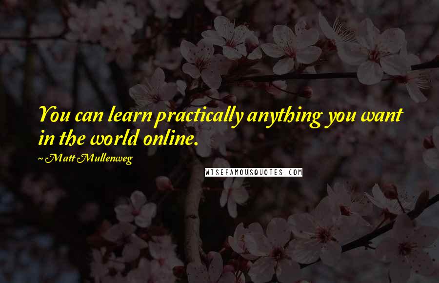 Matt Mullenweg quotes: You can learn practically anything you want in the world online.