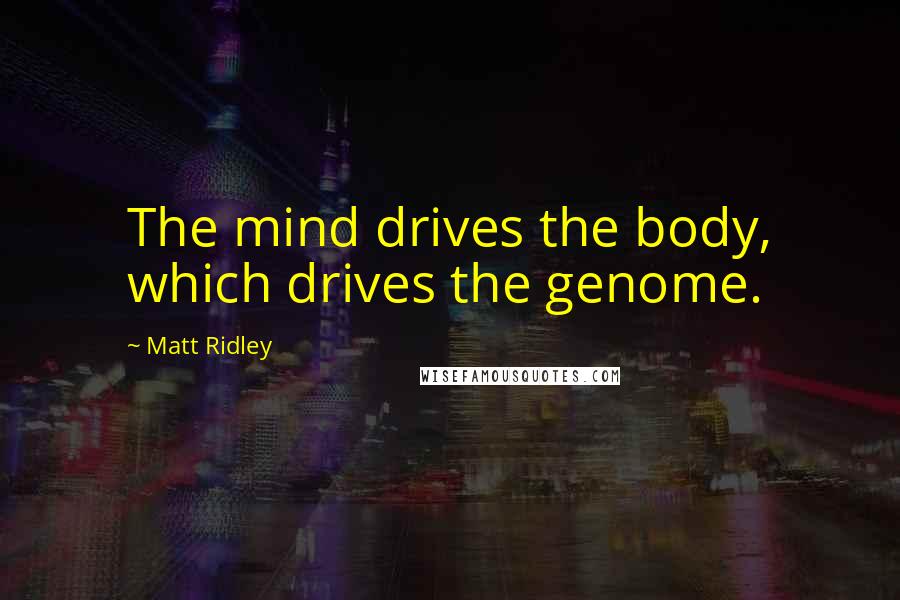 Matt Ridley quotes: The mind drives the body, which drives the genome.