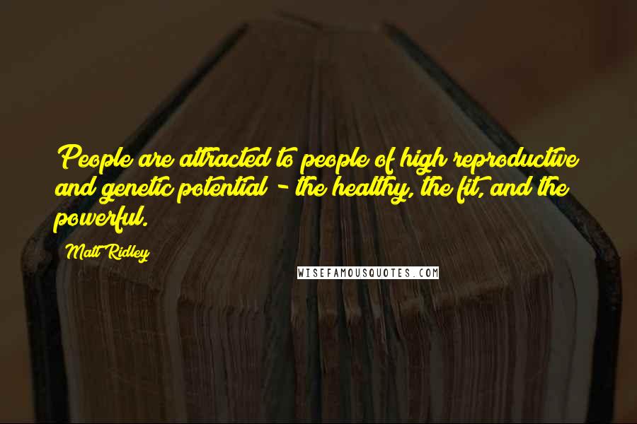 Matt Ridley quotes: People are attracted to people of high reproductive and genetic potential - the healthy, the fit, and the powerful.