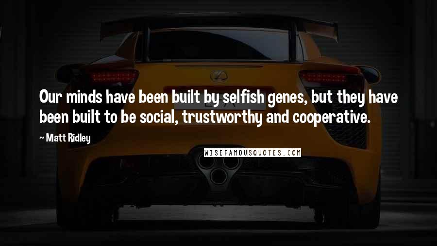 Matt Ridley quotes: Our minds have been built by selfish genes, but they have been built to be social, trustworthy and cooperative.