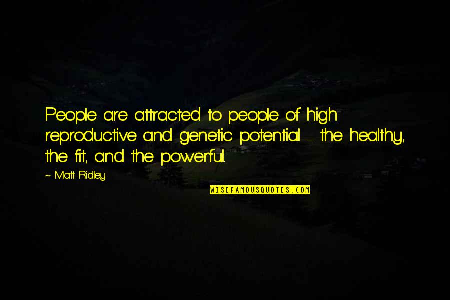 Matt Ridley Quotes By Matt Ridley: People are attracted to people of high reproductive