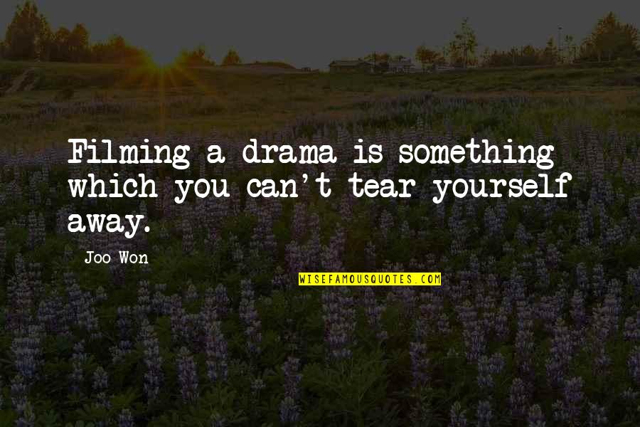 Matta El Meskeen Quotes By Joo Won: Filming a drama is something which you can't