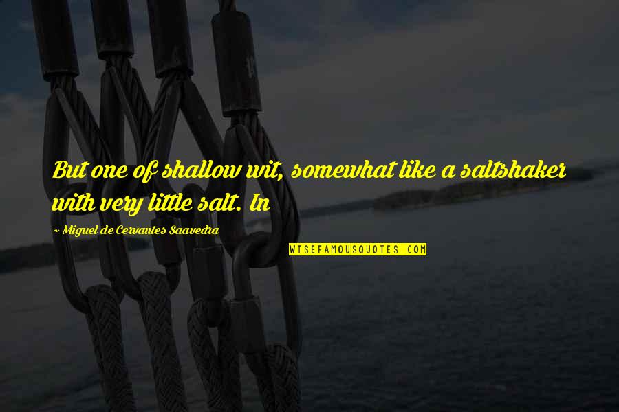 Mattachine Quotes By Miguel De Cervantes Saavedra: But one of shallow wit, somewhat like a