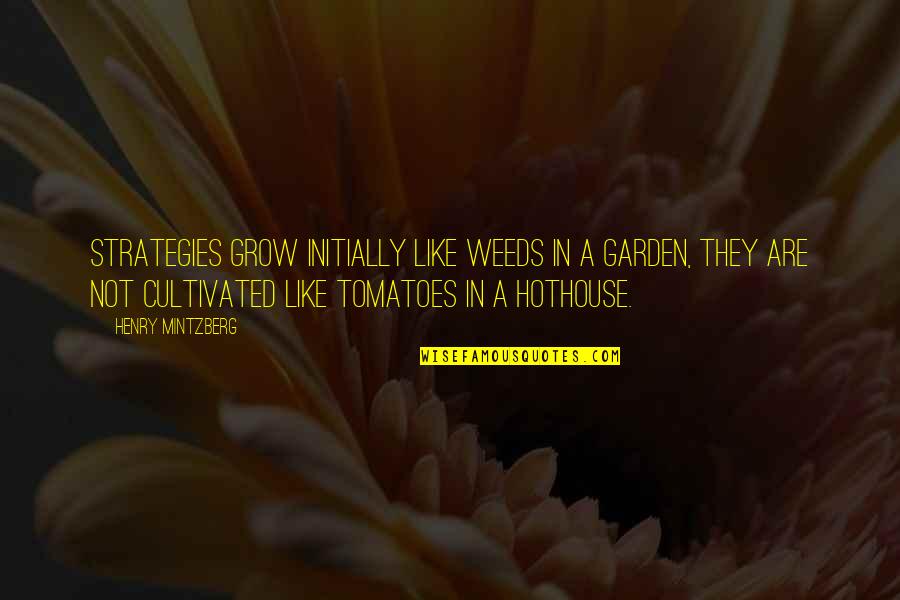 Matters And Materials Quotes By Henry Mintzberg: Strategies grow initially like weeds in a garden,