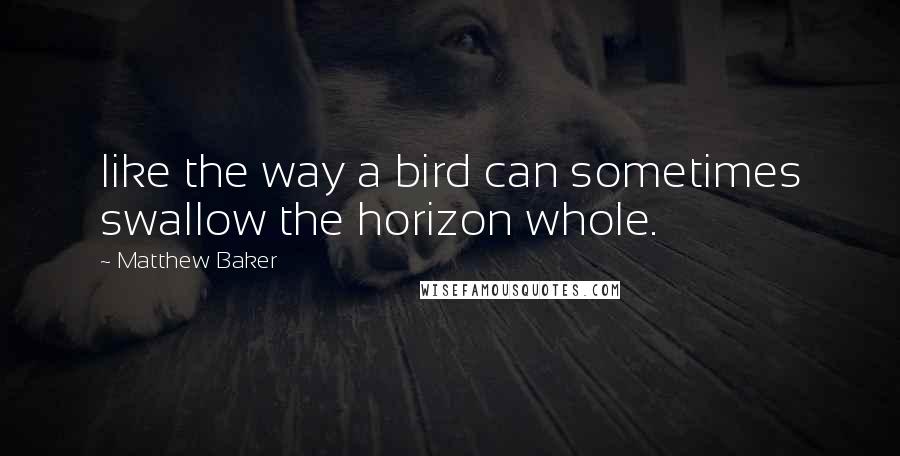 Matthew Baker quotes: like the way a bird can sometimes swallow the horizon whole.