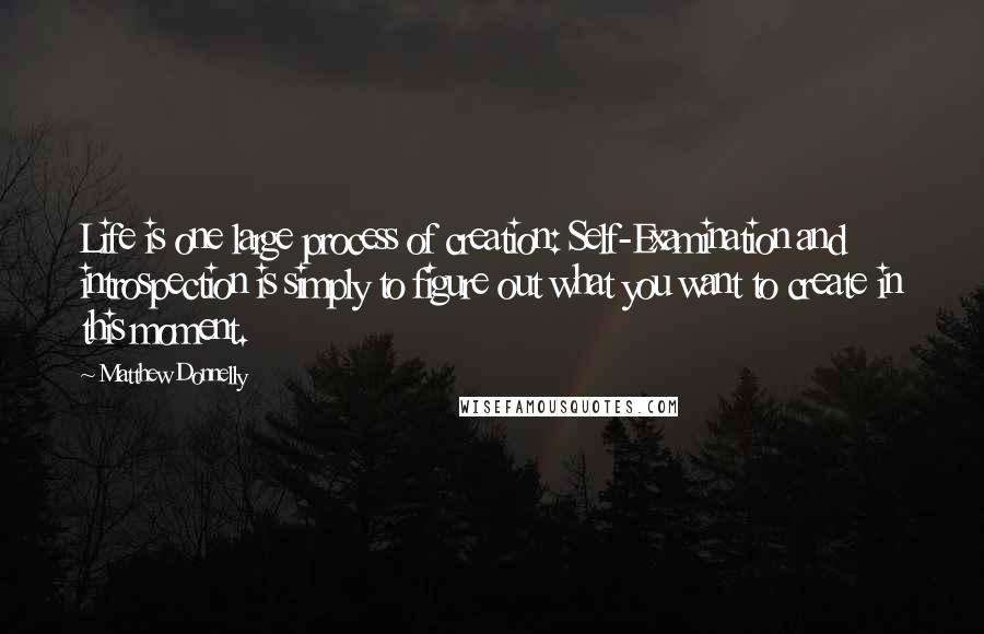 Matthew Donnelly quotes: Life is one large process of creation: Self-Examination and introspection is simply to figure out what you want to create in this moment.