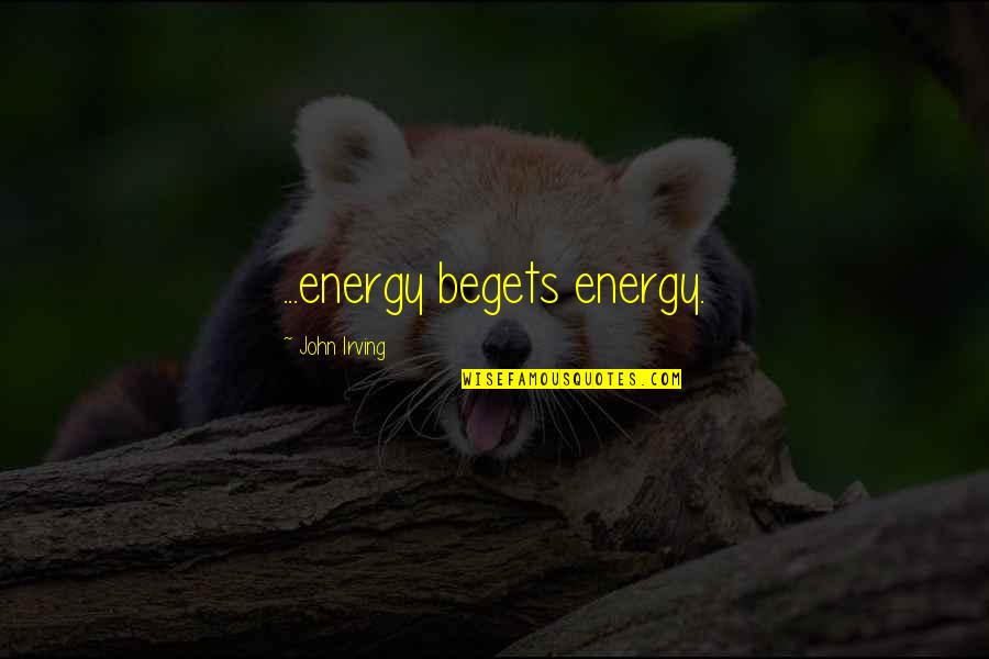 Matthew Gilbert Quotes By John Irving: ...energy begets energy.