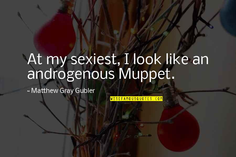 Matthew Gray Gubler Quotes By Matthew Gray Gubler: At my sexiest, I look like an androgenous