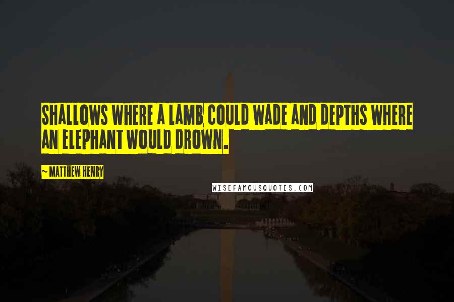 Matthew Henry quotes: Shallows where a lamb could wade and depths where an elephant would drown.