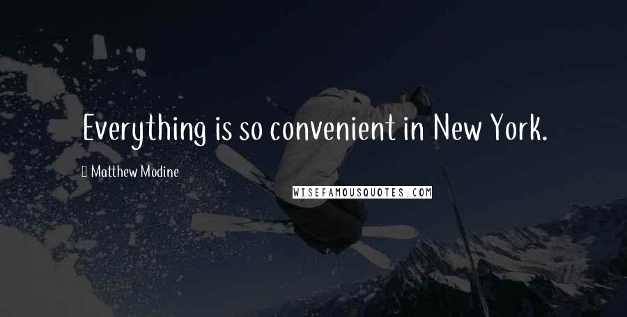 Matthew Modine quotes: Everything is so convenient in New York.