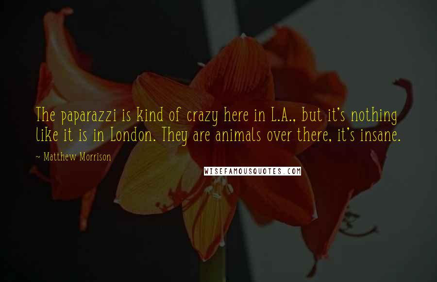 Matthew Morrison quotes: The paparazzi is kind of crazy here in L.A., but it's nothing like it is in London. They are animals over there, it's insane.