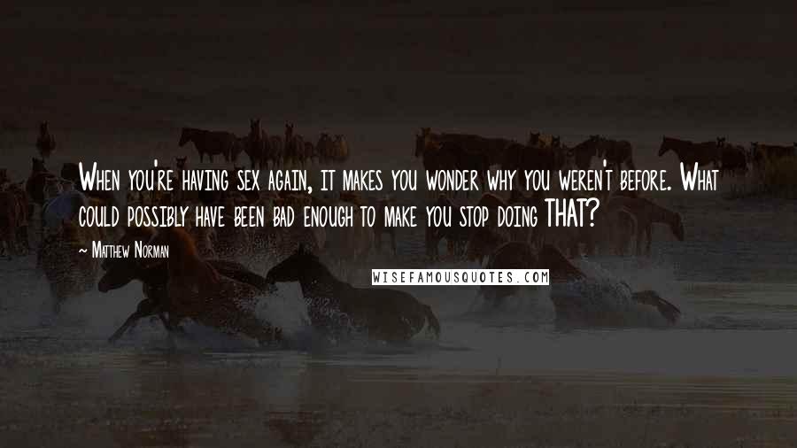 Matthew Norman quotes: When you're having sex again, it makes you wonder why you weren't before. What could possibly have been bad enough to make you stop doing THAT?