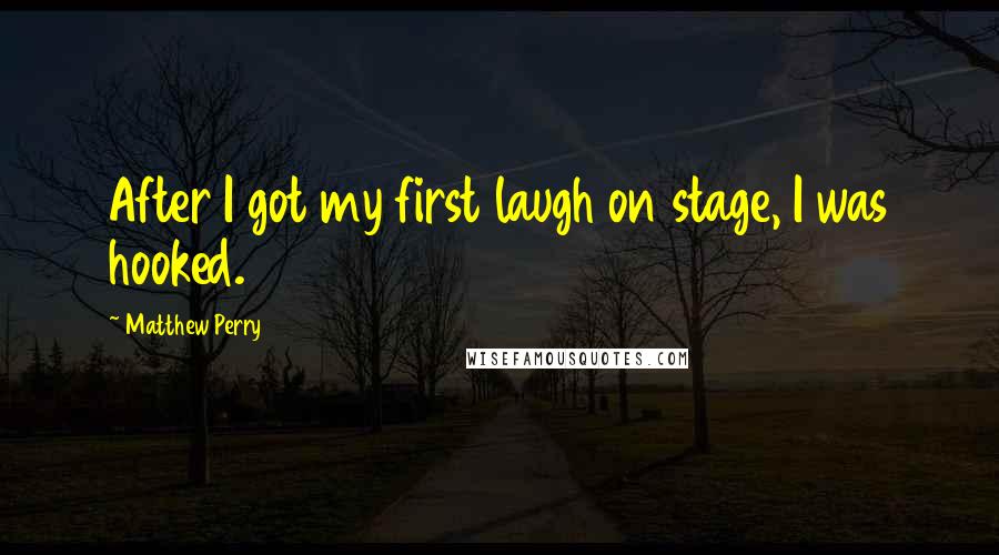 Matthew Perry quotes: After I got my first laugh on stage, I was hooked.