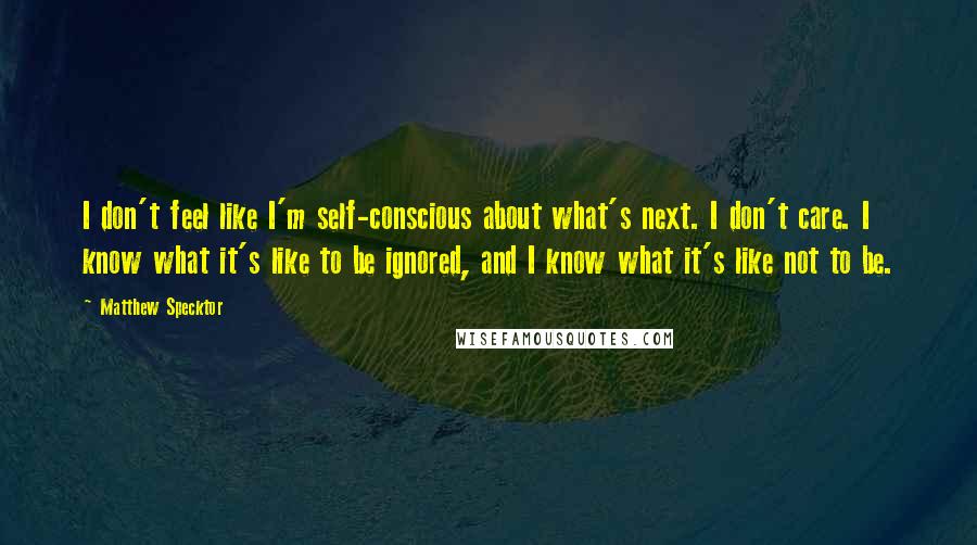 Matthew Specktor quotes: I don't feel like I'm self-conscious about what's next. I don't care. I know what it's like to be ignored, and I know what it's like not to be. Matthew Specktor quotes: I don't feel like I'm self-conscious about what's next. I don't care. I know what it's like to be ignored, and I know what it's like not to be.