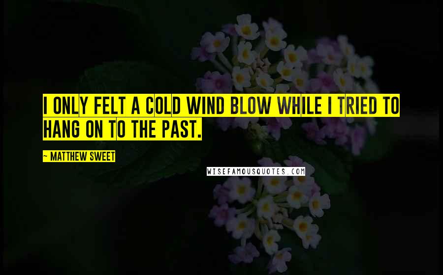 Matthew Sweet quotes: I only felt a cold wind blow while I tried to hang on to the past. Matthew Sweet quotes: I only felt a cold wind blow while I tried to hang on to the past.